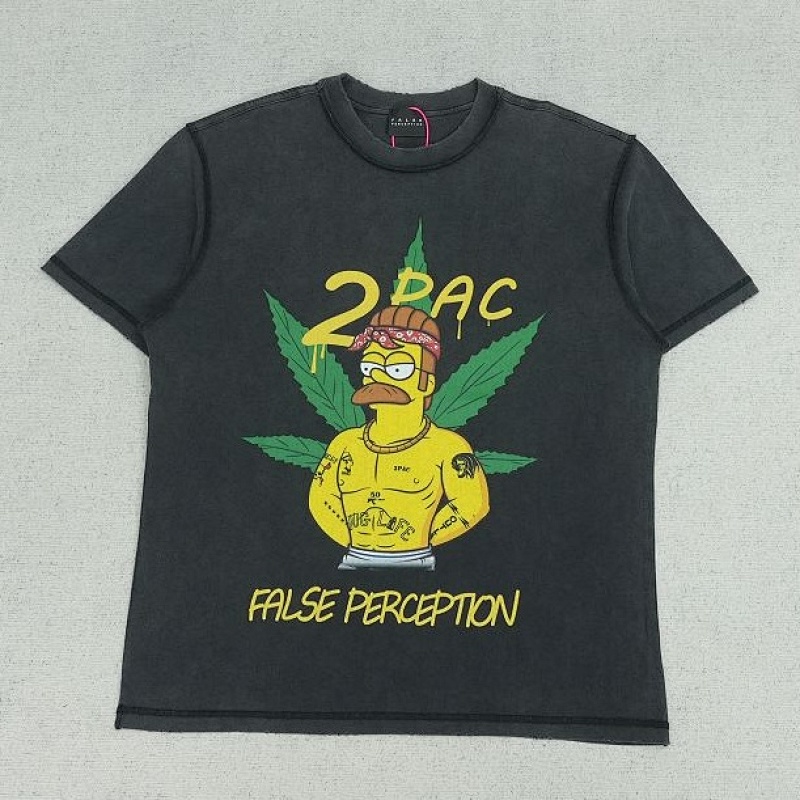 FalsePerception
