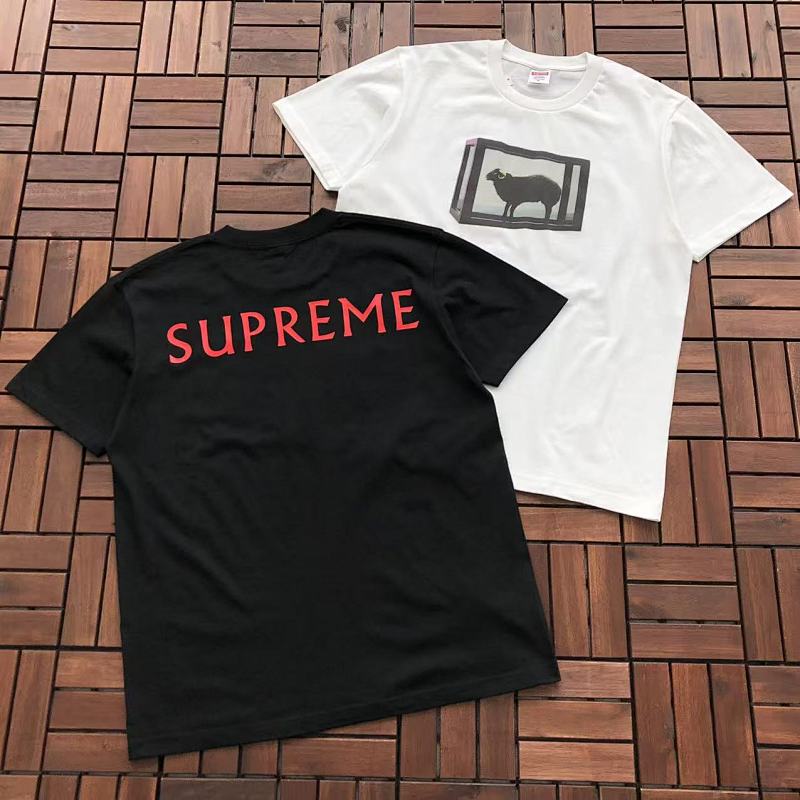 SUPREME & DAMIEN HIRST T-SHIRT 77032420 (im 180CM 68KG iwear size M in the photo)