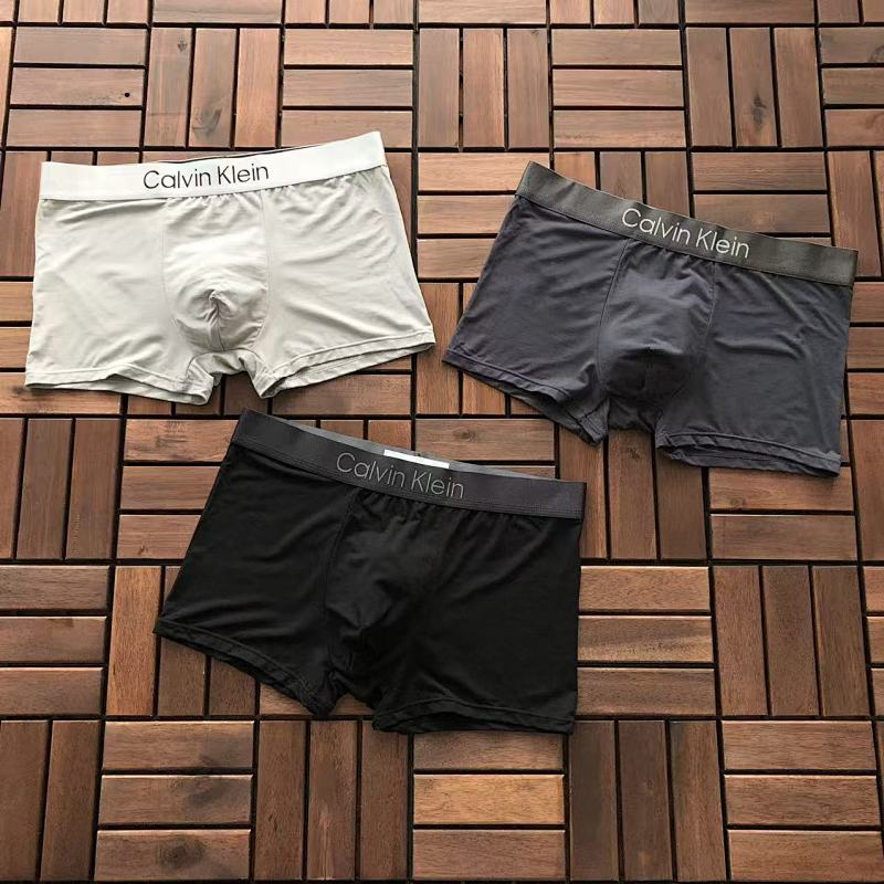 CALVIN KLEIN UNDERPANTS 22121601