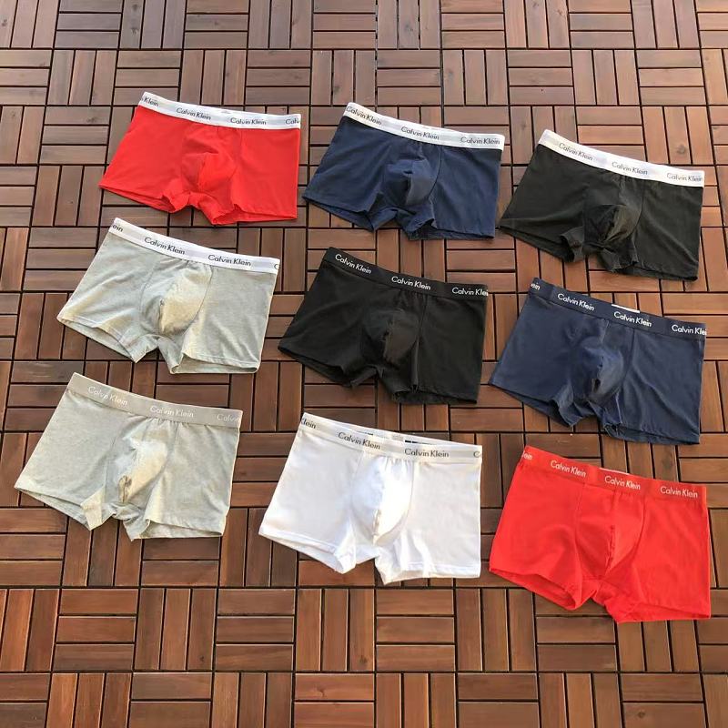 CALVIN KLEIN UNDERPANTS 22120324