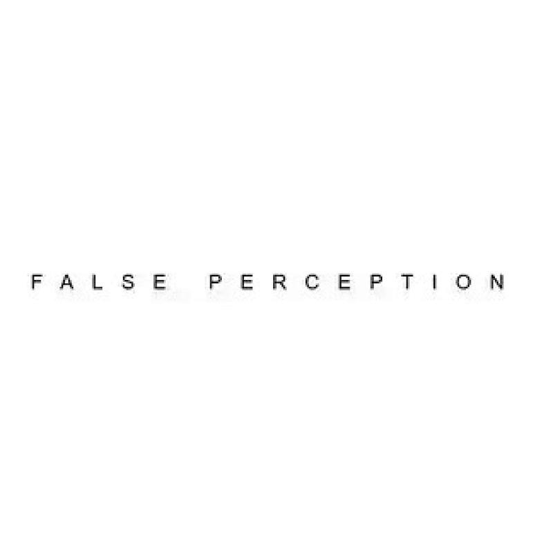 FALSE PERCEPTION