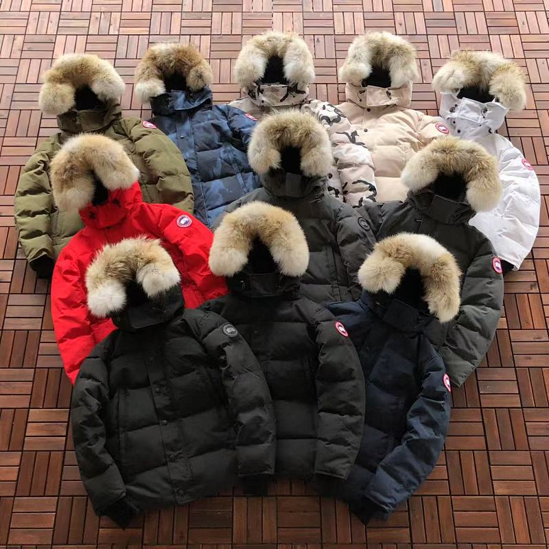 CANADA GOOSE DOWN JACKET 11090114 (im 175CM 58KG iwear size S in the photo）