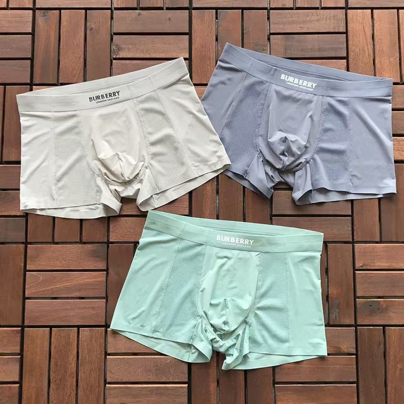 BURBERRY UNDERPANTS 66032563
