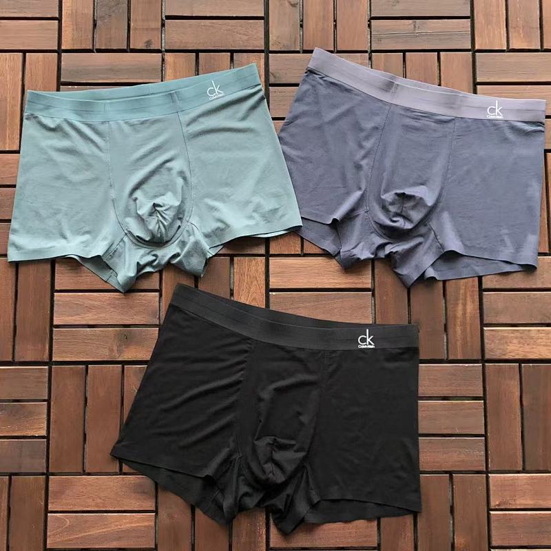CALVIN KLEIN UNDERPANTS 66032562