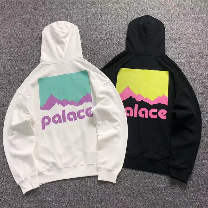 PALACE HOODIE 110041153