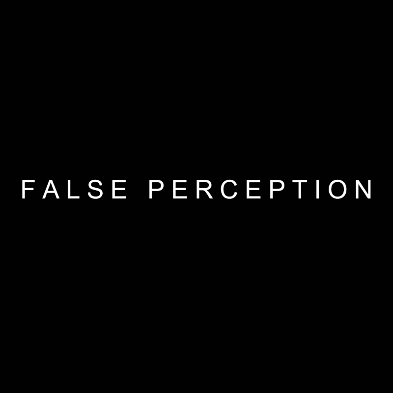 FALSE PERCEPTION