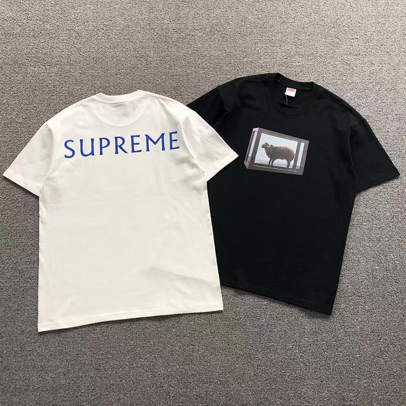 SUPREME T-SHIRT 41061015123（im 170cm 60kg i wear size M in the phot）