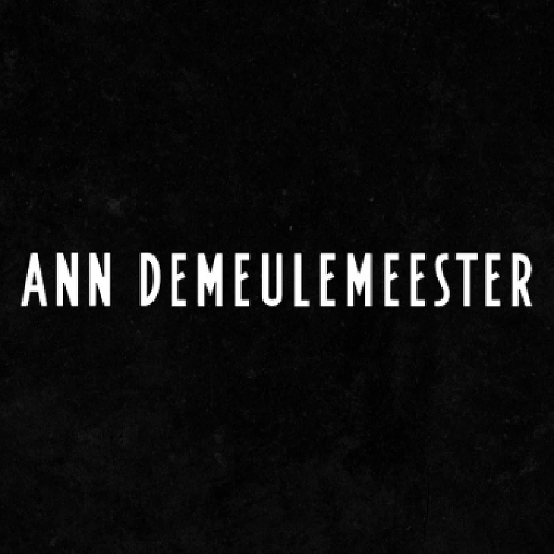 ANN DEMEULEMEESTER