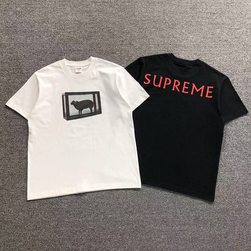 SUPREME T-SHIRT 214174733（im 170cm 60kg i wear size M in the phot）