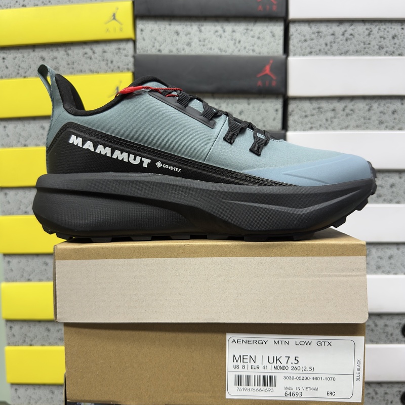 【BD Batch】AENERGY MTN LOW GTX 40-45 3030-05230-4601-1070 黑蓝