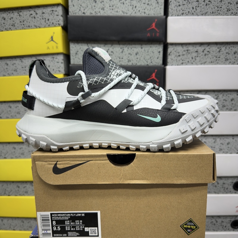 【BD Batch】ACG MOUNTAIN FLY GTX SE（36-45）D09334-100_1