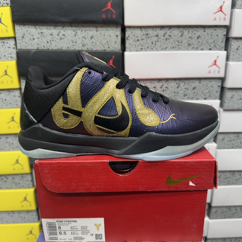 【BD Batch】V PROTRO（36-46) IB4481-500