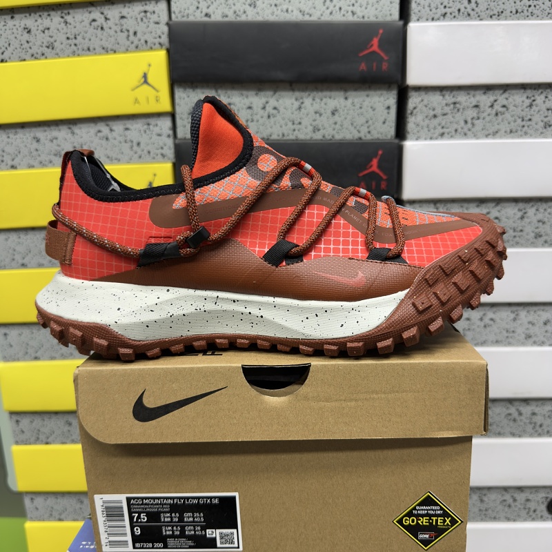 【BD Batch】ACG MOUNTAIN FLY GTX SE（36-45） IB7328-200