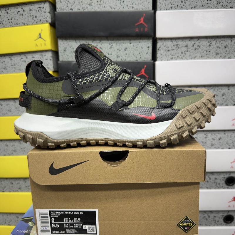 【BD Batch】ACG MOUNTAIN FLY GTX SE（36-45） D09334-300