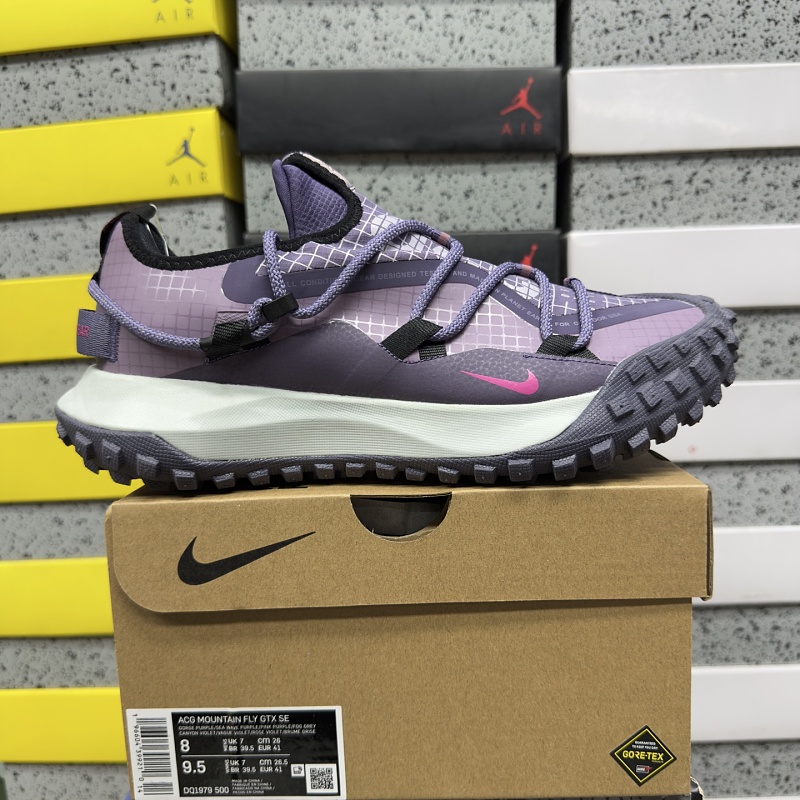 【BD Batch】ACG MOUNTAIN FLY GTX SE（36-45）DQ1979-500